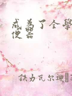 成为了全学校坐便器