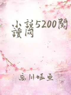小说5200阅读网