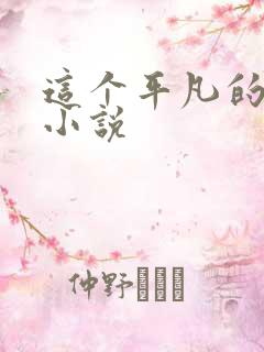 这个平凡的男子小说