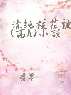 清纯校花被调教(高h)小说