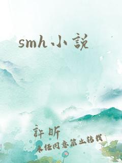smh小说