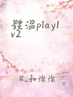 体温play1v2