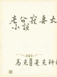 老公宠妻太甜蜜 小说