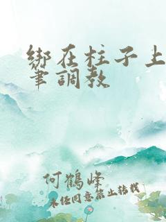 绑在柱子上用毛笔调教