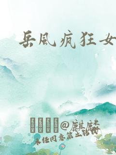 岳风疯狂女婿