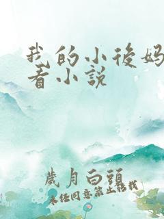 我的小后妈免费看小说