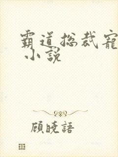 霸道总裁宠上天 小说