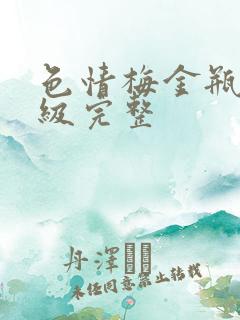 色情梅金瓶2三级完整