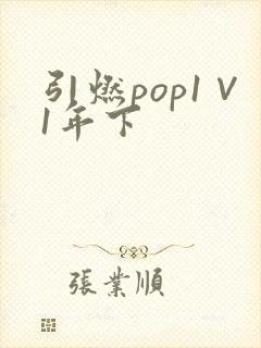 引燃pop1∨1年下
