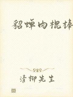 貂蝉肉棍棒小说