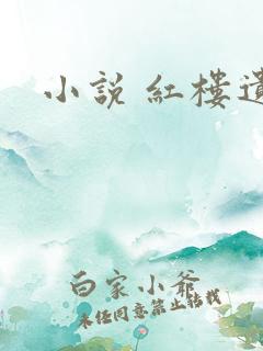 小说 红楼遗秘