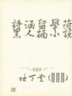 诗涵留学荷兰被黑人摘小说