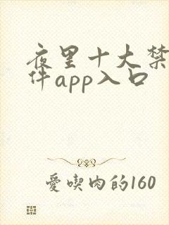 夜里十大禁用软件app入口