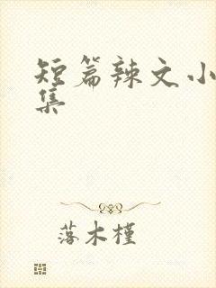 短篇辣文小说合集