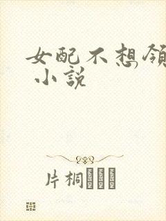 女配不想领便当 小说