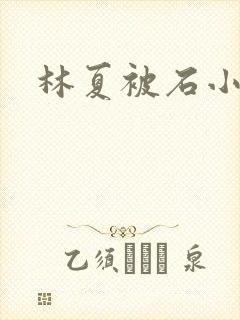 林夏被石小猛