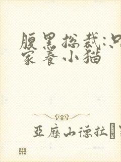 腹黑总裁:只疼家养小猫