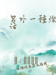 另外一种灿烂生活