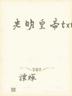光明皇帝txt