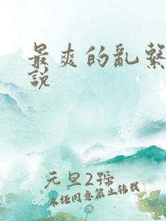 最爽的乱系列小说