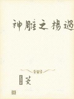 神雕之杨过新传