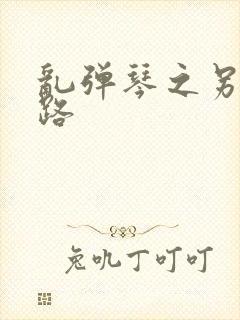 乱弹琴之另一条路