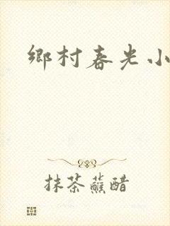 乡村春光小说