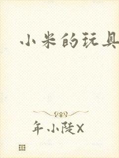 小米的玩具日记