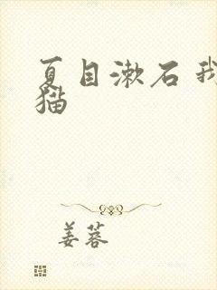 夏目漱石 我是猫