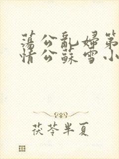 荡公乱妇第1章情公苏雪小说