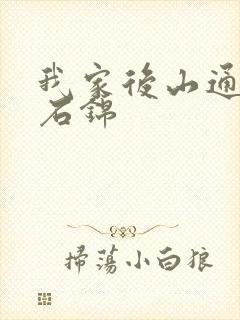 我家后山通仙界石锦