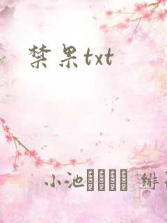 禁果txt