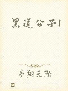 黑道公子1