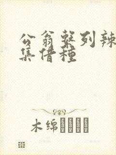 公翁系列辣文全集借种