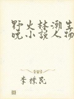 野火林潮生林晚晚小说人物野火