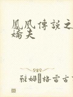 凤凰传说之独宠娇夫