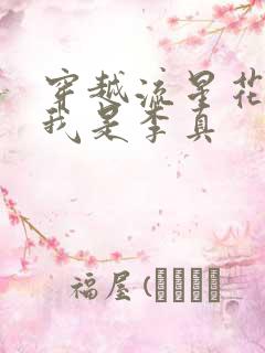 穿越流星花园之我是李真