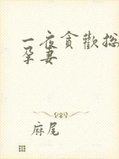 一夜贪欢总裁幸孕妻