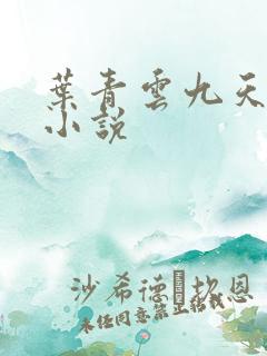 叶青云九天玄宗小说