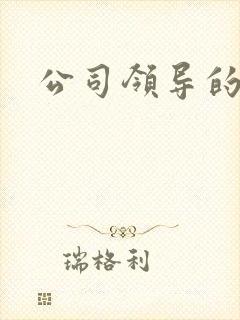 公司领导的老婆