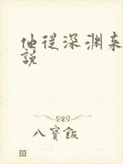 他从深渊来 小说