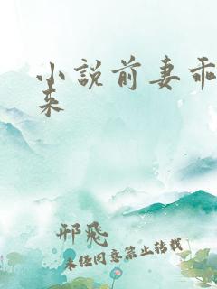 小说前妻乖乖回来