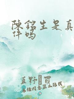 陈铭生是真实事件吗