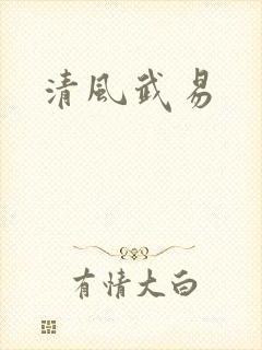 清风武易