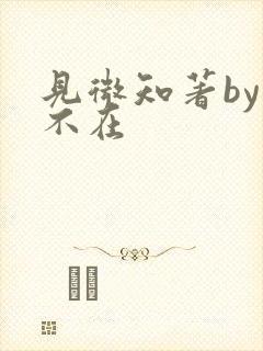 见微知著by音不在