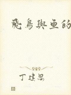 飞鸟与鱼的故事