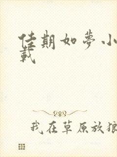 佳期如梦小说下载