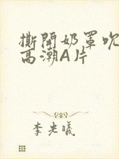 撕开奶罩吮奶头高潮A片