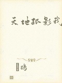 天地孤影我独行
