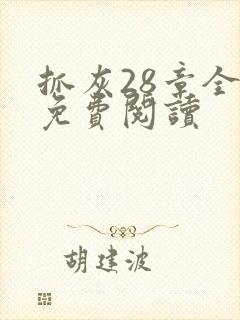 抓灰28章全部免费阅读